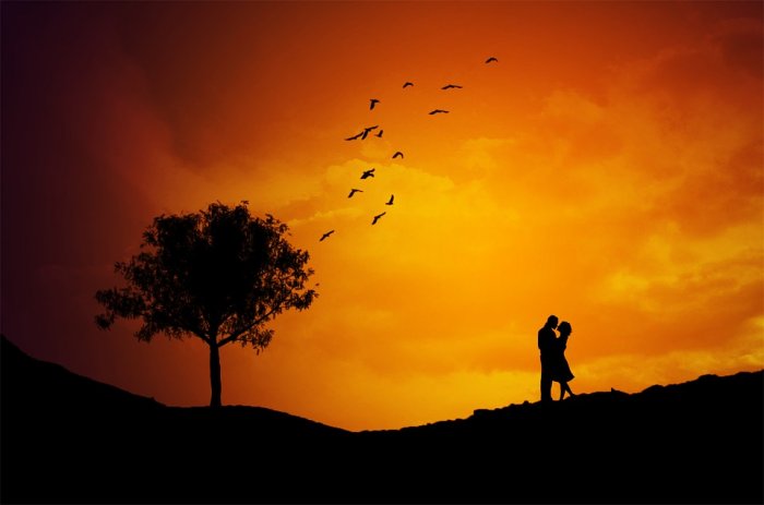 Sunset Love Birds